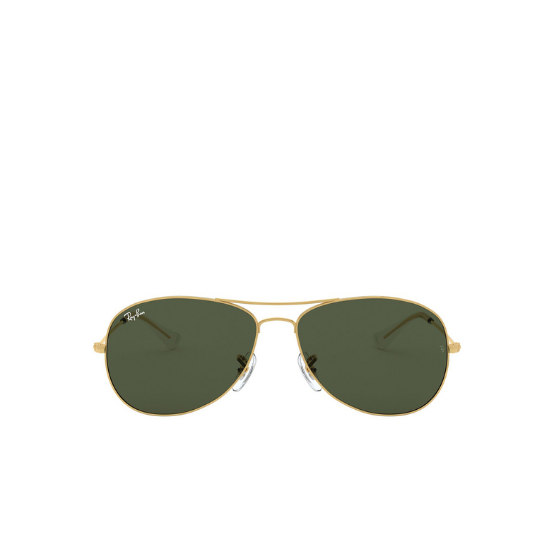 Ray-Ban COCKPIT Sunglasses 001 arista - 1/4