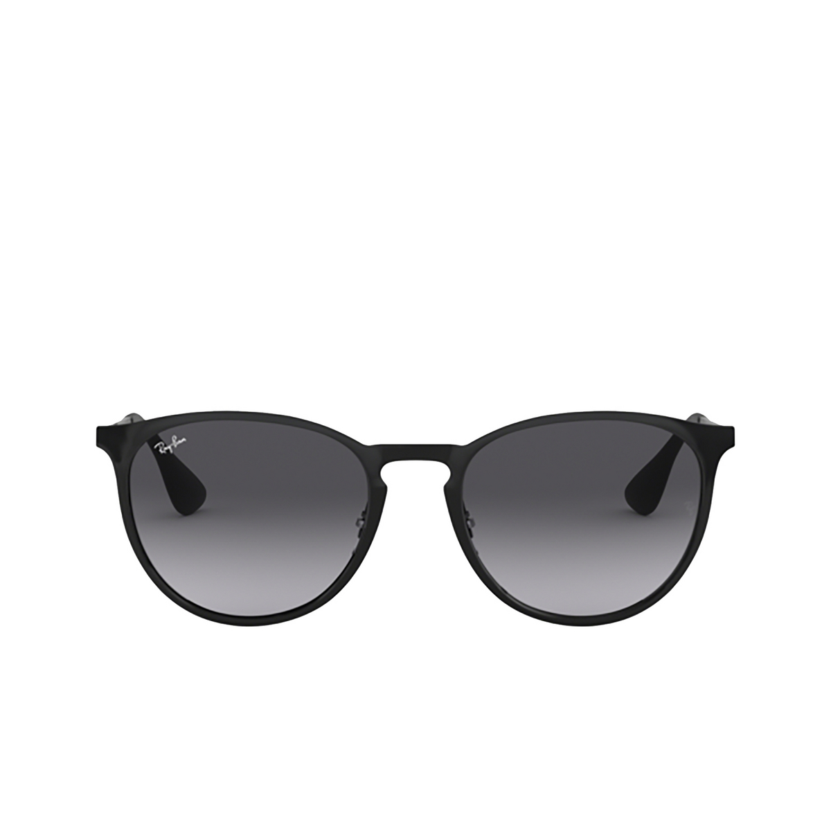 Ray-Ban ERIKA METAL Sunglasses 002/8G BLACK - front view