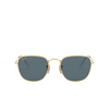 Ray-Ban FRANK Sunglasses 9196R5 legend gold - product thumbnail 1/4