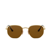 Ray-Ban HEXAGONAL Sunglasses 001/57 arista - product thumbnail 1/4