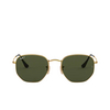 Ray-Ban HEXAGONAL Sunglasses 001/58 arista - product thumbnail 1/4