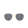 Ray-Ban HEXAGONAL Sunglasses 001/R5 gold - product thumbnail 1/4