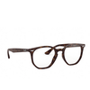 Ray-Ban HEXAGONAL Eyeglasses 2012 havana - product thumbnail 2/4