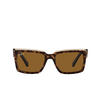 Ray-Ban INVERNESS Sunglasses 129257 havana on transparent brown - product thumbnail 1/4