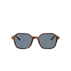 Ray-Ban JOHN Sunglasses 954/62 striped havana - product thumbnail 1/4