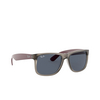 Ray-Ban JUSTIN Sunglasses 650987 rubber transparent grey - product thumbnail 2/4