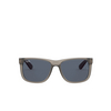 Ray-Ban JUSTIN Sunglasses 650987 rubber transparent grey - product thumbnail 1/4