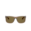 Gafas de sol Ray-Ban JUSTIN 651073 rubber transparent brown - Miniatura del producto 1/4