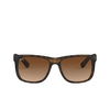 Ray-Ban JUSTIN Sunglasses 710/13 rubber light havana - product thumbnail 1/4