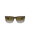 Ray-Ban JUSTIN Sunglasses 854/7Z rubber brown on grey - product thumbnail 1/4