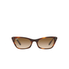 Ray-Ban LADY BURBANK Sunglasses 954/51 striped havana - product thumbnail 1/4