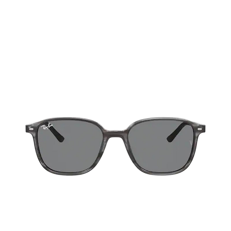 Ray-Ban LEONARD Sunglasses 1314B1 striped grey - 1/4