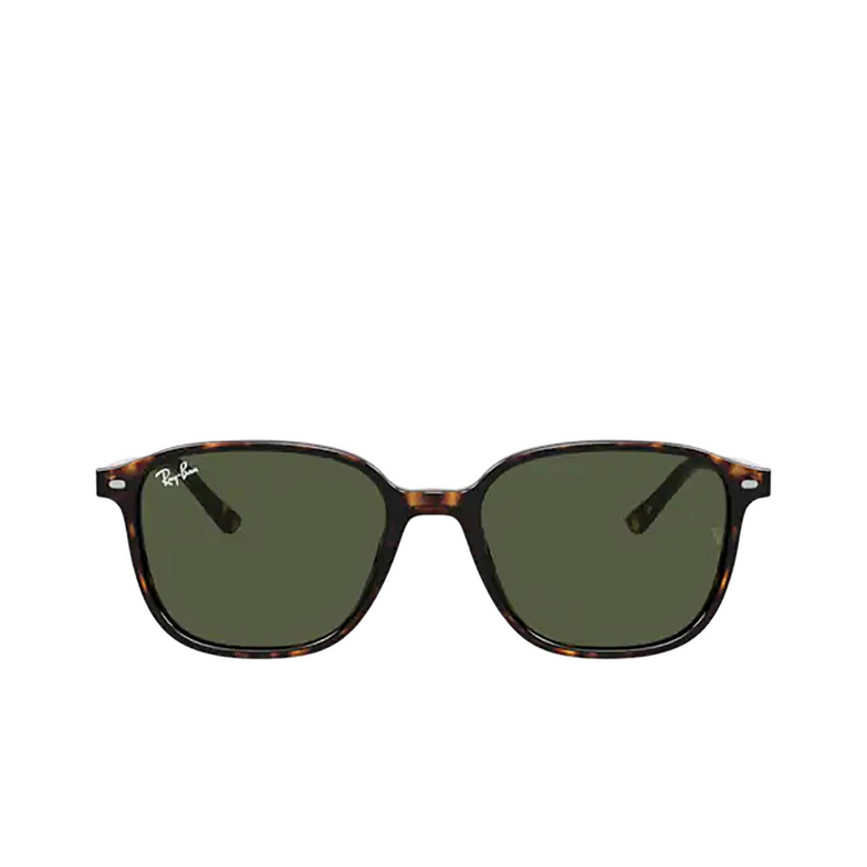 Ray-Ban LEONARD Sunglasses 902/31 tortoise - 1/4