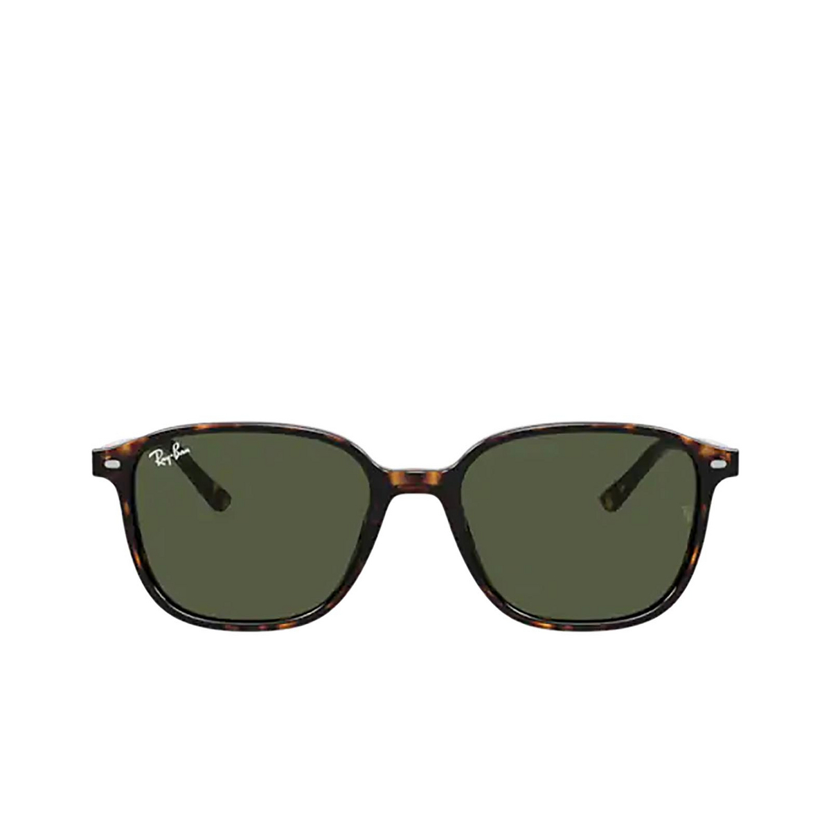 Ray-Ban LEONARD Sunglasses 902/31 Tortoise - front view