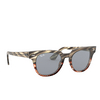 Ray-Ban METEOR Sunglasses 1254Y5 grey gradient brown stripped - product thumbnail 2/4