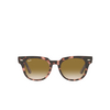 Ray-Ban METEOR Sunglasses 133451 pink havana - product thumbnail 1/4
