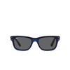 Ray-Ban MR BURBANK Sunglasses 1339B1 striped blue - product thumbnail 1/4
