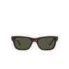 Ray-Ban MR BURBANK Sunglasses 902/31 havana - product thumbnail 1/4