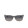Ray-Ban NEW WAYFARER Sunglasses 614371 gunmetal on transparent - product thumbnail 1/4