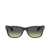 Ray-Ban NEW WAYFARER Sunglasses 894/76 matte havana - product thumbnail 1/4