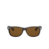 Ray-Ban NEW WAYFARER Sunglasses 902/57 tortoise - product thumbnail 1/4