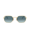 Ray-Ban OCTAGONAL Sunglasses 91233M arista - product thumbnail 1/4
