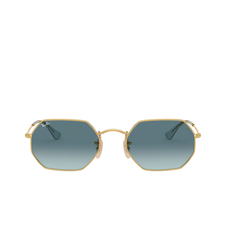 Ray-Ban OCTAGONAL Sunglasses 91233M arista - 1/4