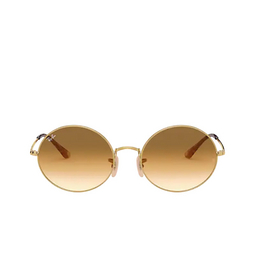 Ray-Ban RB1970 OVAL 914751 Arista 914751 arista