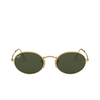 Ray-Ban OVAL Sunglasses 001/31 arista - product thumbnail 1/4