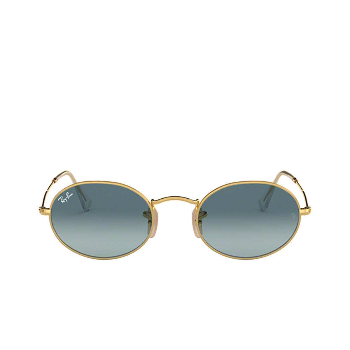 Ray-Ban OVAL Sunglasses 001/3M ARISTA - front view