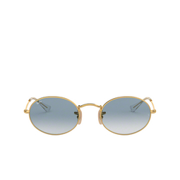 Ray-Ban® Oval Sunglasses: RB3547N Oval color 001/3F Arista 