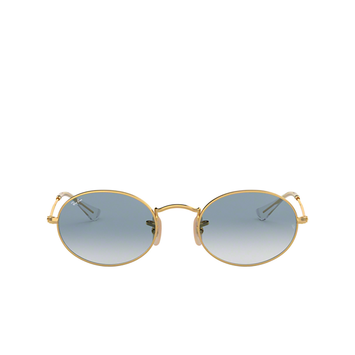 Ray-Ban OVAL Sunglasses 001/3F Arista - front view