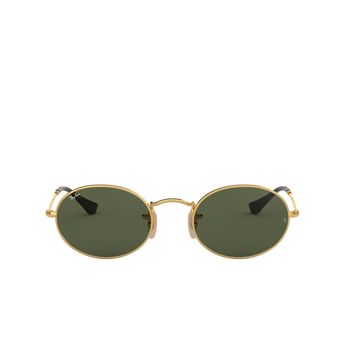 Ray-Ban OVAL Sunglasses 001 Arista - front view