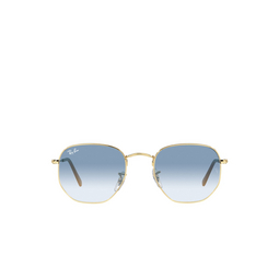 Ray-Ban® Irregular Sunglasses: RB3548 color 001/3F Arista 