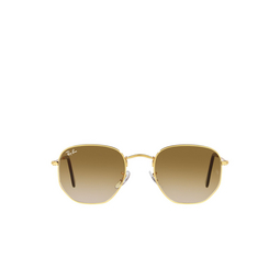Ray-Ban® Irregular Sunglasses: RB3548 color 001/51 Gold 