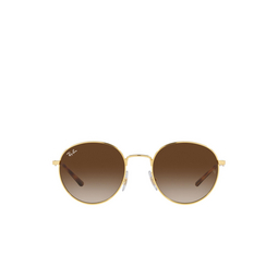Ray-Ban® Round Sunglasses: RB3681 color 001/13 Arista 