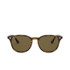 Ray-Ban RB4259 Sunglasses 710/73 light havana - product thumbnail 1/4