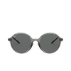 Ray-Ban RB4304 Sunglasses 643687 transparent grey - product thumbnail 1/4
