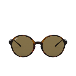 Ray-Ban® Round Sunglasses: RB4304 color 710/73 Havana 