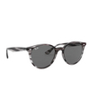 Ray-Ban RB4305 Sunglasses 643087 striped grey havana - product thumbnail 2/4