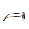Ray-Ban RB4336CH Sunglasses 710/BC light havana - product thumbnail 3/4