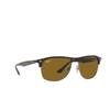 Ray-Ban RB4342 Sunglasses 710/83 havana - product thumbnail 2/4