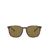 Ray-Ban RB4387 Sunglasses 710/73 light havana - product thumbnail 1/4