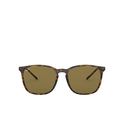 Ray-Ban® Square Sunglasses: RB4387 color 710/73 Light Havana 