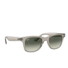 Ray-Ban RB4640 Sunglasses 644971 transparent grey - product thumbnail 2/4