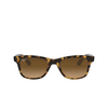 Ray-Ban RB4640 Sunglasses 710/M2 light havana - product thumbnail 1/4