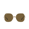 Ray-Ban RB8067 Sunglasses 157/73 brown on arista - product thumbnail 1/4