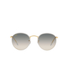 Ray-Ban ROUND FULL COLOR Sunglasses 919632 grey on legend gold - product thumbnail 1/4