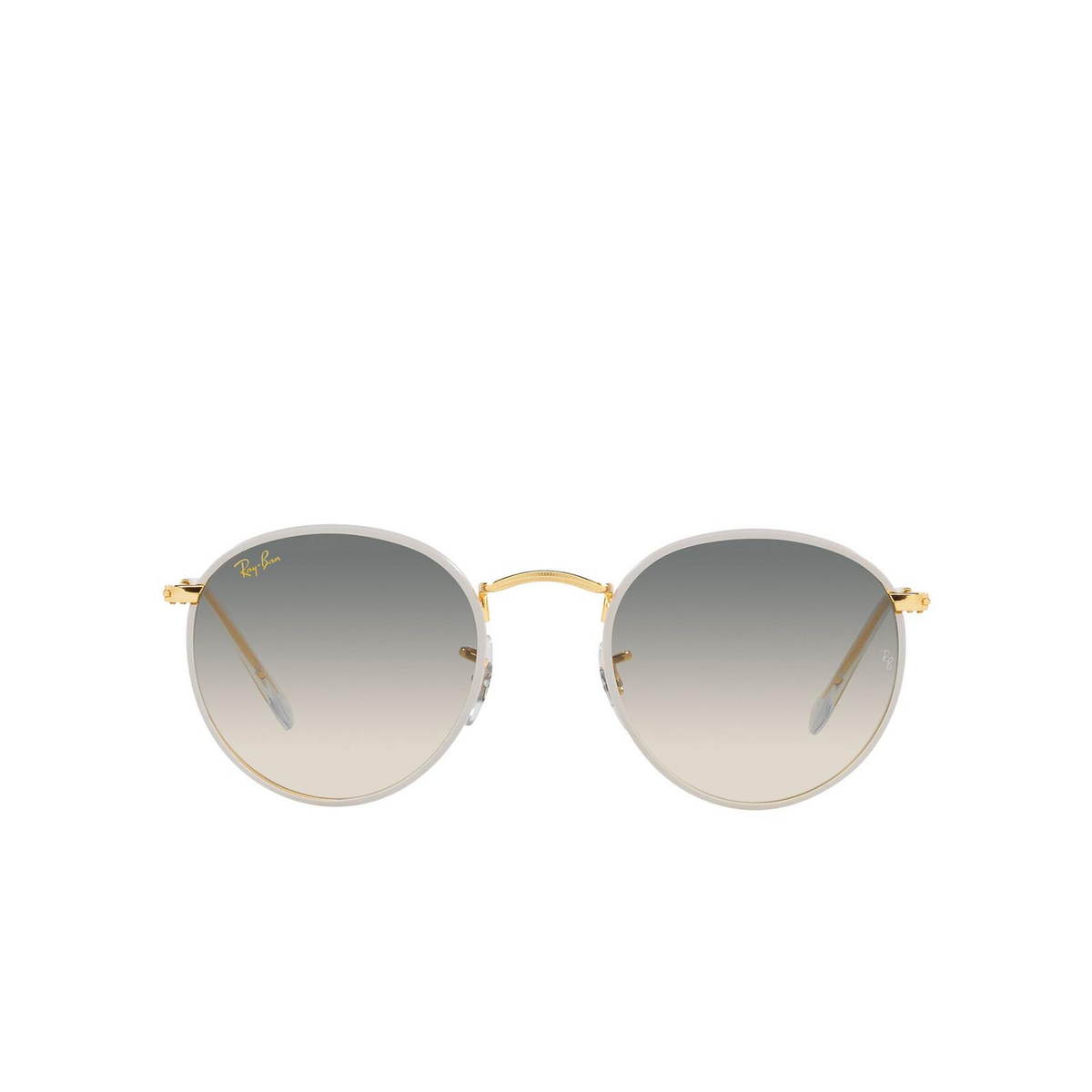 Ray-Ban ROUND FULL COLOR Sunglasses 919632 Grey on Legend Gold - front view