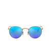Ray-Ban ROUND METAL Sunglasses 112/4L matte arista - product thumbnail 1/4